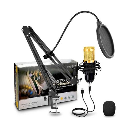 PROFESSIONAL CONDENSER MICROPHONE